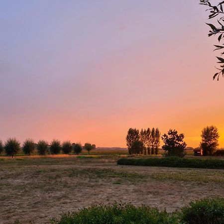 De Luxe Overkapping Middelburg Eksteriør bilde